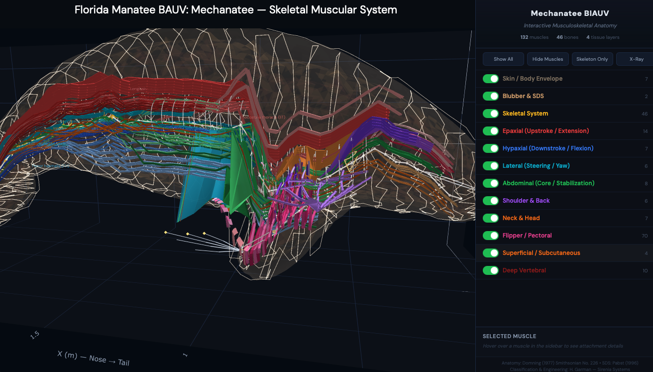 Mechanatee BIAUV full musculoskeletal system — 132 muscles, 46 bones, 4 tissue types